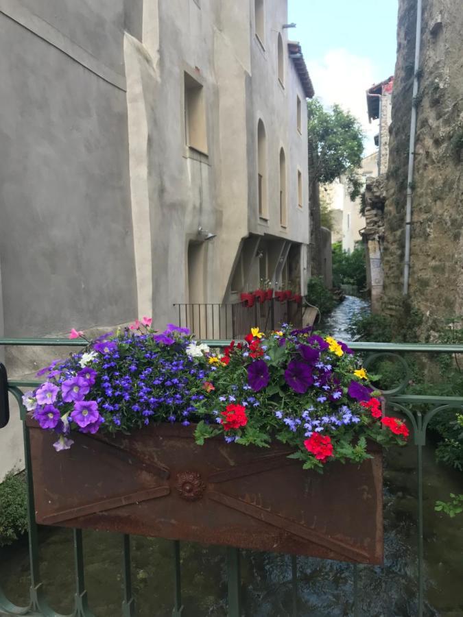 Apartament Petit Reve LʼIsle-sur-la-Sorgue Zewnętrze zdjęcie